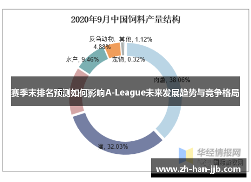 赛季末排名预测如何影响A-League未来发展趋势与竞争格局 赛季末排名预测如何影响A-League未来发展趋势与竞争格局