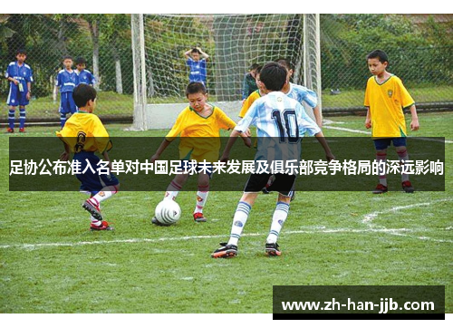 足协公布准入名单对中国足球未来发展及俱乐部竞争格局的深远影响